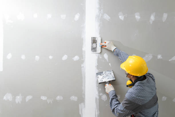 Best Mold Odor Removal Services  in Walnut Creek, OH