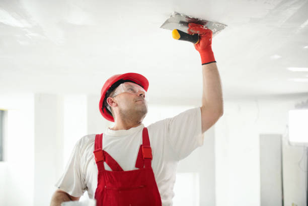 Best Dehumidification Services  in Walnut Creek, OH