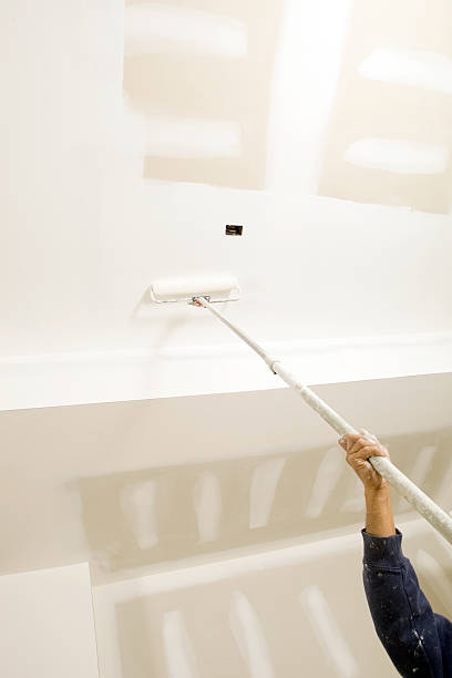 Best Mold Removal for HVAC Installations  in Walnut Creek, OH